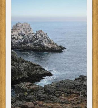 Cuadro PUQUEN II