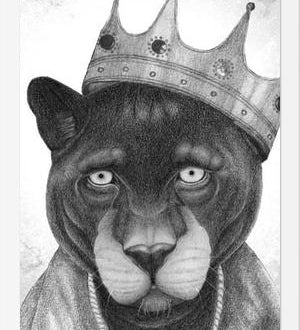 Enmarcado El Rey Pantera bw