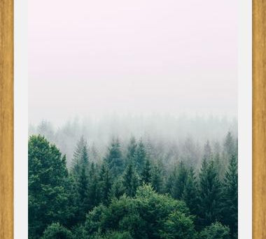 Cuadro The Fog And The Forest I