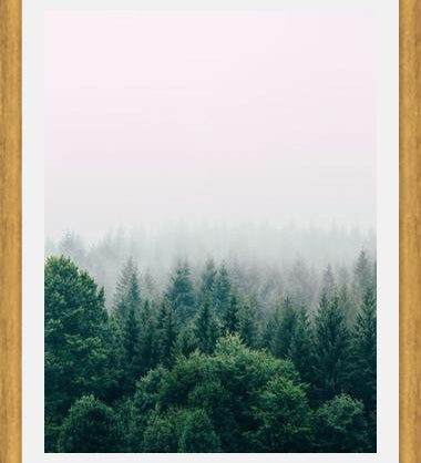 Cuadro The Fog And The Forest I