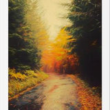 Cuadro Autumnal Landscape 3