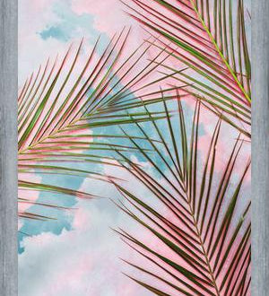 Cuadro Palms + Sky
