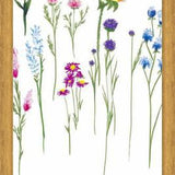 Cuadro Naturaleza