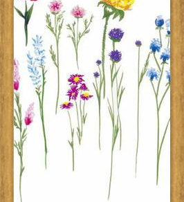 Cuadro Naturaleza