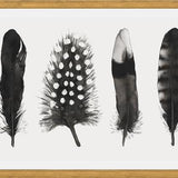 Cuadro Plumas Acuarela