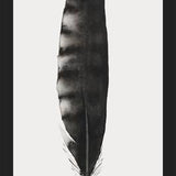 Cuadro Pluma Acuarela 3