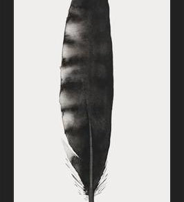Cuadro Pluma Acuarela 3