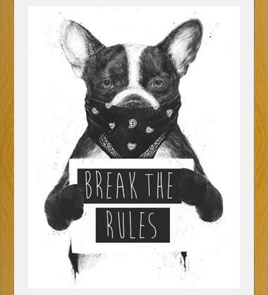 Cuadro Rebel Dog