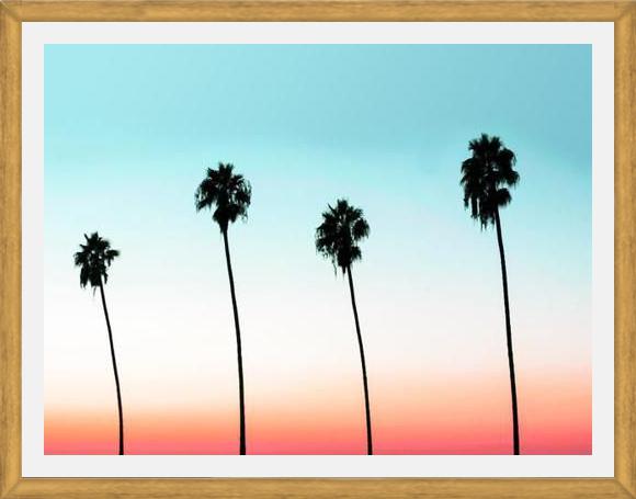 Cuadro Sunset Boulevard