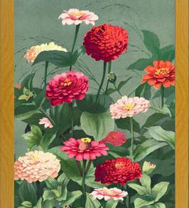 Cuadro Flores