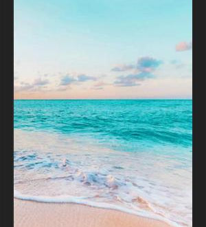 Cuadro Ocean Bliss