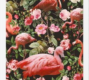 Cuadro Floral and Flamingo Pattern