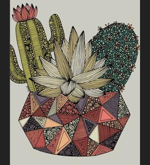 Cuadro Cactus