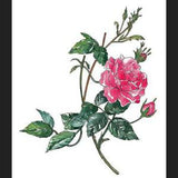 Cuadro Rosa II
