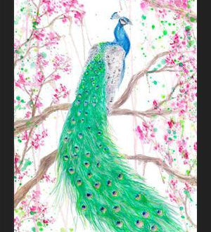 Cuadro Pavo Real