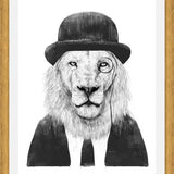 Cuadro Sir Lion