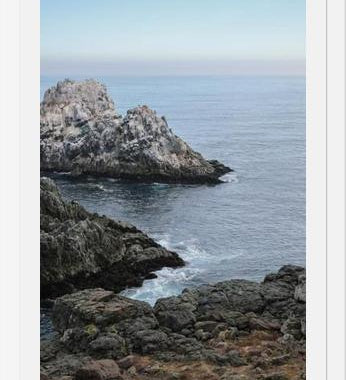 Cuadro PUQUEN II
