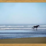 Cuadro Serenity