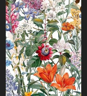 Cuadro Vintage Garden IX
