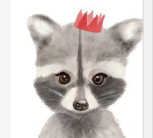 Cuadro Mapache con coronilla
