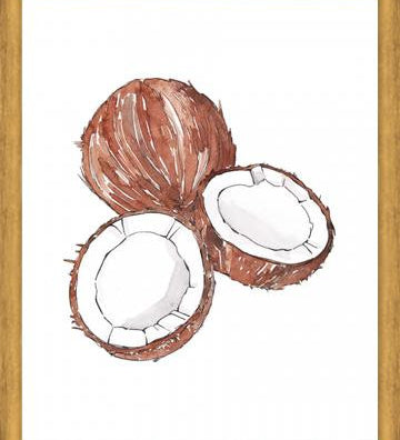 Cuadro COCONUTS
