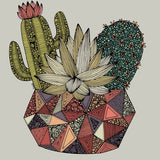 Canvas Cactus