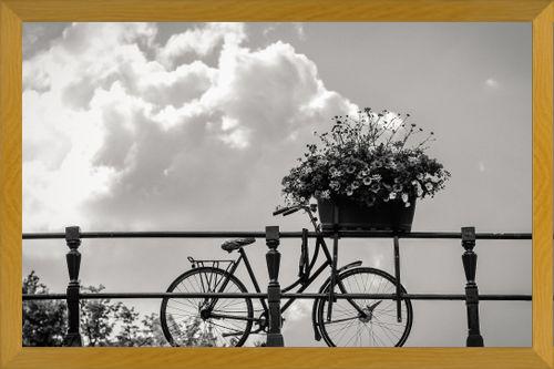 Cuadro Bicicleta y flores en canales Amsterdam
