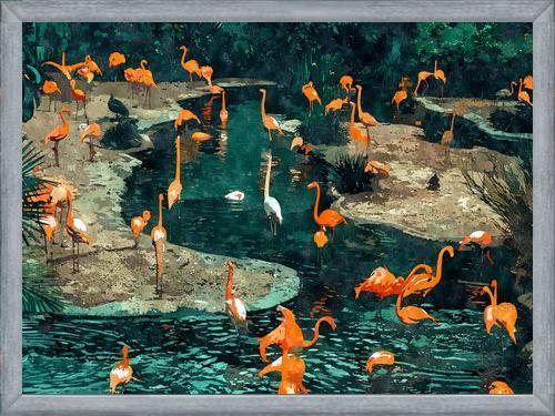 Cuadro Flamingo Creek