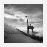 Cuadro Giraffes