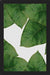 Cuadro Banana Leaf II