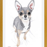 Cuadro Chihuahua