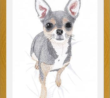 Cuadro Chihuahua
