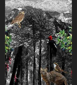 Cuadro poster sureño