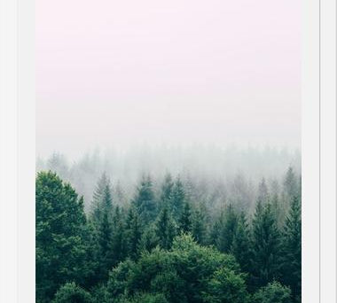 Cuadro The Fog And The Forest I