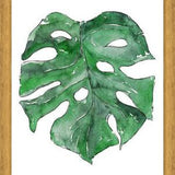 Cuadro Hoja Monstera