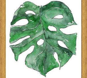 Cuadro Hoja Monstera