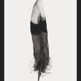 Cuadro Pluma Acuarela 2