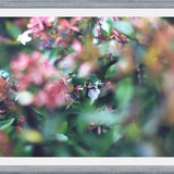 Cuadro Flores e insectos Nº6