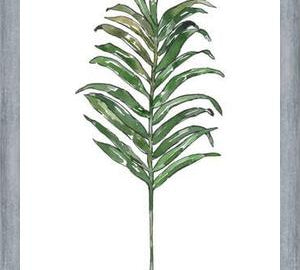 Cuadro Hoja Palma