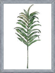Cuadro Hoja Palma