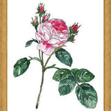 Cuadro Rosa I