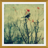 Cuadro Autumn Bird