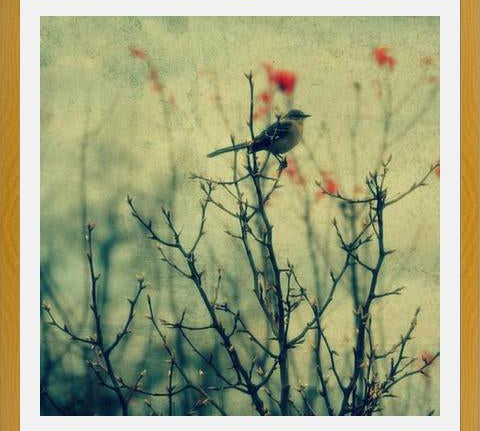 Cuadro Autumn Bird