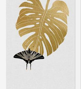 Cuadro Butterfly and Monstera Leaf