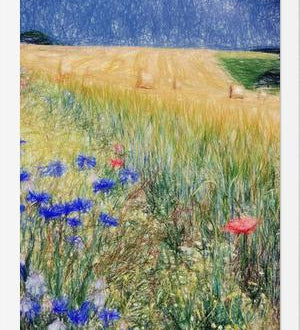 Cuadro Flowery Field