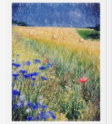 Cuadro Flowery Field
