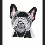 Cuadro Bulldog Rockstar