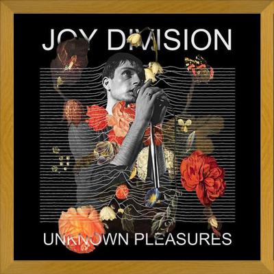 Cuadro Joy Division