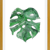 Cuadro Hoja Monstera