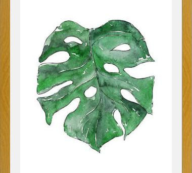 Cuadro Hoja Monstera